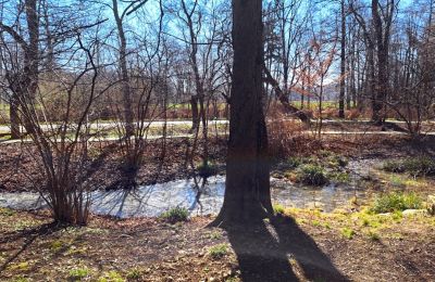 Pałac na sprzedaż Bystrzyca Dolna, Dolnośląskie, Zdjęcie 9/9