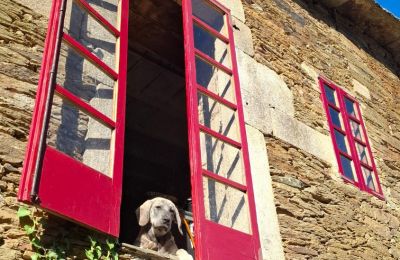 Dwór na sprzedaż Galicja, Zdjęcie 10/48