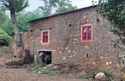 Dwór na sprzedaż Galicja, Zdjęcie 11/48