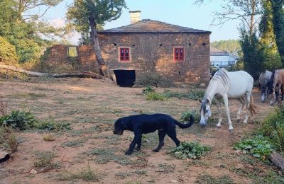 Dwór na sprzedaż Galicja, Zdjęcie 12/48