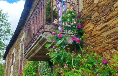 Dwór na sprzedaż Galicja, Zdjęcie 16/48