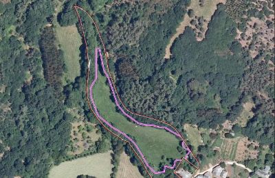 Dwór na sprzedaż Galicja, Zdjęcie 25/48