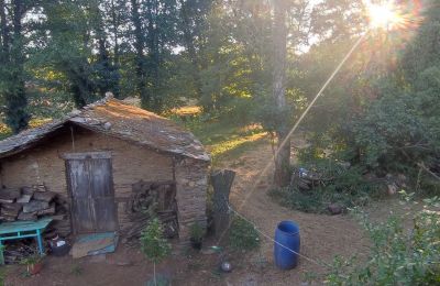 Dwór na sprzedaż Galicja, Zdjęcie 26/48