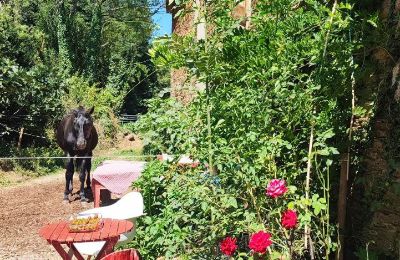 Dwór na sprzedaż Galicja, Zdjęcie 28/48