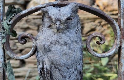 Dwór na sprzedaż Galicja, Zdjęcie 30/48