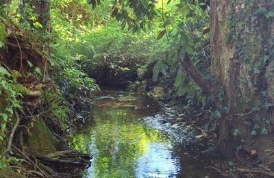 Dwór na sprzedaż Galicja, Zdjęcie 35/48