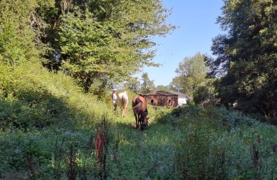 Dwór na sprzedaż Galicja, Zdjęcie 42/48