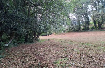 Dwór na sprzedaż Galicja, Zdjęcie 44/48