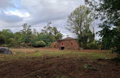 Dwór na sprzedaż Galicja, Zdjęcie 45/48