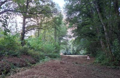 Dwór na sprzedaż Galicja, Zdjęcie 47/48