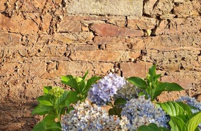 Dwór na sprzedaż Galicja, Zdjęcie 8/48