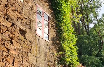 Dwór na sprzedaż Galicja, Zdjęcie 9/48