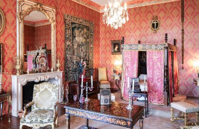 Pałac na sprzedaż Forcalquier, Provence-Alpes-Côte d'Azur, Zdjęcie 6/10