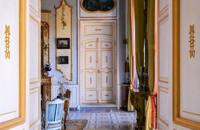 Pałac na sprzedaż Forcalquier, Provence-Alpes-Côte d'Azur, Zdjęcie 5/10