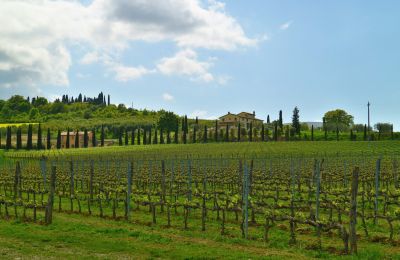 Wiejski dom na sprzedaż Sarteano, Toskania, Zdjęcie 49/50