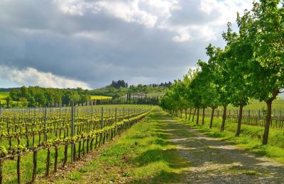 Wiejski dom na sprzedaż Sarteano, Toskania, Zdjęcie 46/50