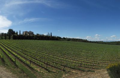 Wiejski dom na sprzedaż Sarteano, Toskania, Zdjęcie 50/50