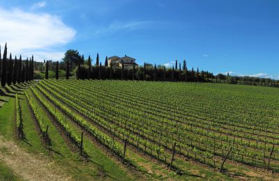 Wiejski dom na sprzedaż Sarteano, Toskania, Zdjęcie 48/50