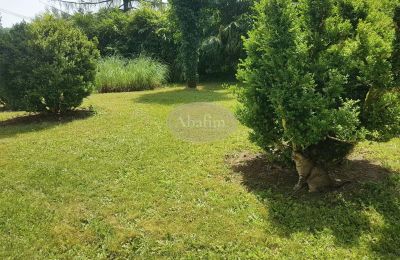 Zabytkowa willa na sprzedaż Salies-de-Béarn, Nouvelle-Aquitaine, Zdjęcie 17/17