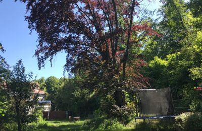 Apartament w zabytku na sprzedaż Gera, Vollersdorfer Str. 56, Turyngia, Garten mit Buche