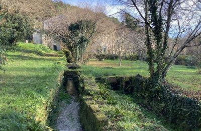 Młyn na sprzedaż Angoulême, Nouvelle-Aquitaine, Działka