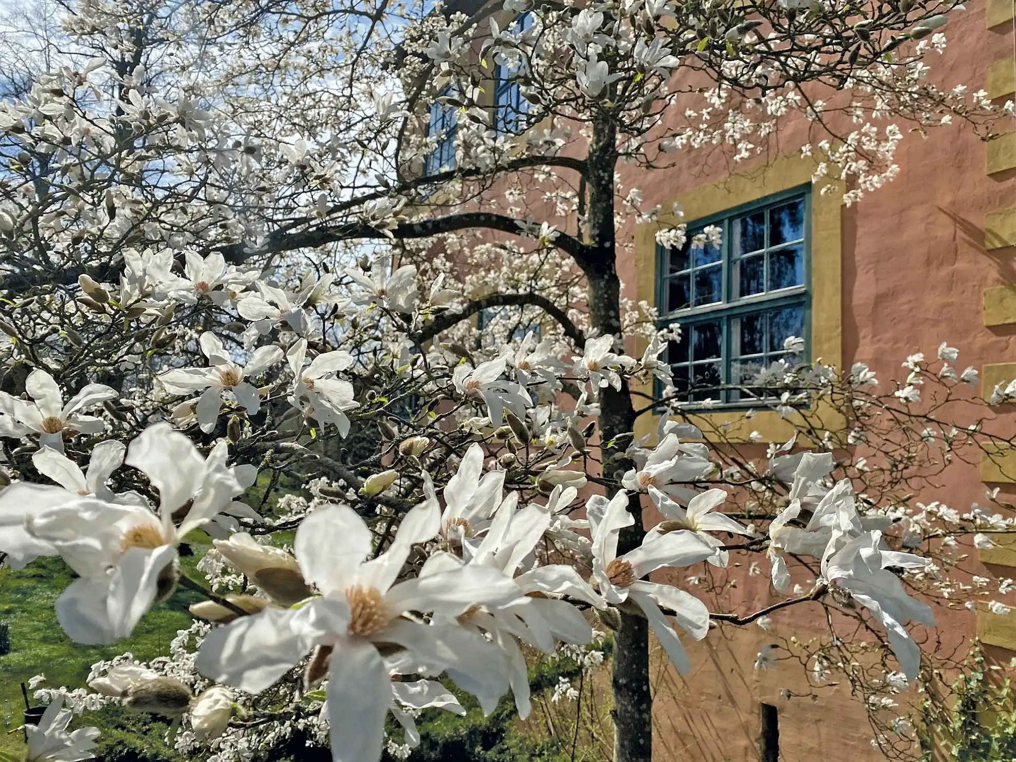 Zdjęcia Zamek Turow w Niemczech – posiadłość na 19 hektarach natury