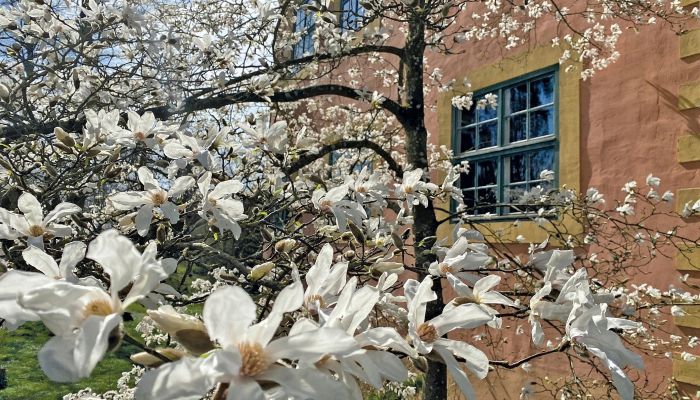 Zamek na sprzedaż Meklemburgia-Pomorze Przednie