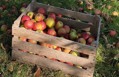 Zamek na sprzedaż Meklemburgia-Pomorze Przednie, Zdjęcie 77/97