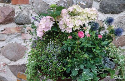 Zamek na sprzedaż Meklemburgia-Pomorze Przednie, Zdjęcie 52/97