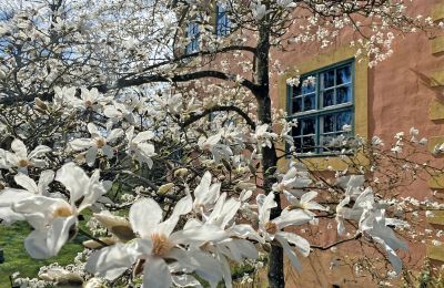 Zamek na sprzedaż Meklemburgia-Pomorze Przednie, Zdjęcie 1/96