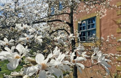 Zamek na sprzedaż Meklemburgia-Pomorze Przednie, Zdjęcie 44/97