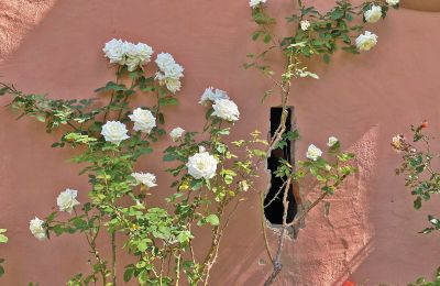 Zamek na sprzedaż Meklemburgia-Pomorze Przednie, Zdjęcie 43/97