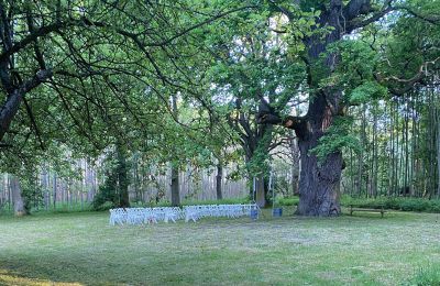 Zamek na sprzedaż Meklemburgia-Pomorze Przednie, Zdjęcie 67/97