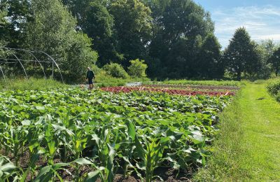 Zamek na sprzedaż Meklemburgia-Pomorze Przednie, Zdjęcie 61/97