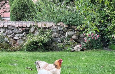 Zamek na sprzedaż Meklemburgia-Pomorze Przednie, Zdjęcie 74/97