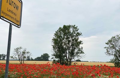 Zamek na sprzedaż Meklemburgia-Pomorze Przednie, Zdjęcie 92/97