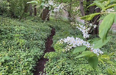 Zamek na sprzedaż Meklemburgia-Pomorze Przednie, Zdjęcie 57/97