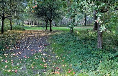 Zamek na sprzedaż Meklemburgia-Pomorze Przednie, Zdjęcie 68/97
