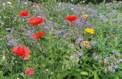 Zamek na sprzedaż Meklemburgia-Pomorze Przednie, Zdjęcie 64/97