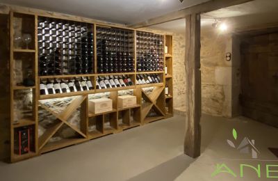 Wiejski dom na sprzedaż Mouzon, Nouvelle-Aquitaine, Piwnica na wino