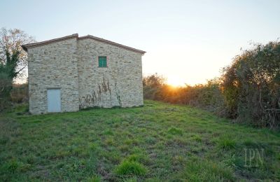 Wiejski dom na sprzedaż Włochy, Zdjęcie 14/26