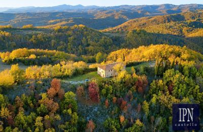 Wiejski dom na sprzedaż Città di Castello, Umbria, Zdjęcie 5/23