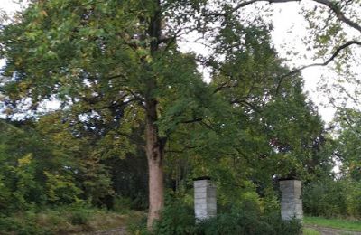 Pałac na sprzedaż Kostrzyna, Kostrzyna 38, Dolnośląskie, Zdjęcie 12/19