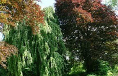 Pałac na sprzedaż Kostrzyna, Kostrzyna 38, Dolnośląskie, Zdjęcie 16/19