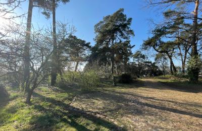 Wiejski dom na sprzedaż 17375 Leopoldshagen, Meklemburgia-Pomorze Przednie, Blick in die Einfahrt