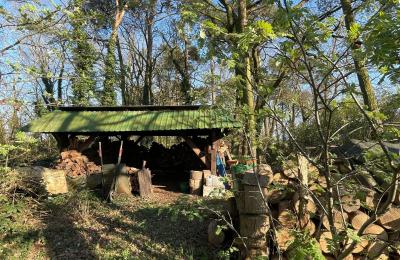 Wiejski dom na sprzedaż 17375 Leopoldshagen, Meklemburgia-Pomorze Przednie, Brennholzlager