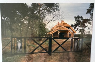 Wiejski dom na sprzedaż 17375 Leopoldshagen, Meklemburgia-Pomorze Przednie, Zdjęcie 40/50