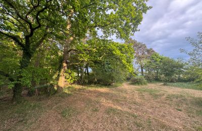 Wiejski dom na sprzedaż 17375 Leopoldshagen, Meklemburgia-Pomorze Przednie, Gartenblick