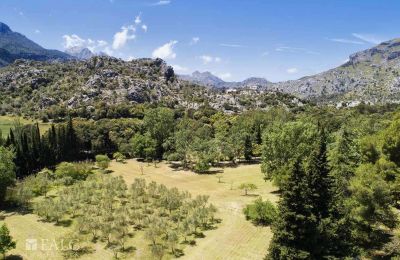 Herrgård till salu Escorca, Balearen, finca-escorca-40