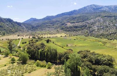 Herrgård till salu Escorca, Balearen, finca-escorca-39